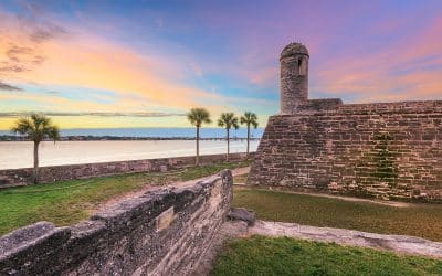 Tripps Now Reviews Florida’s Most Popular Destinations