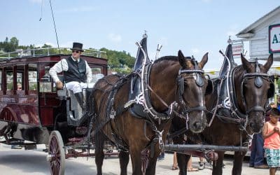 Tripps Now Shares Top Vacation Destinations on the Great Lakes