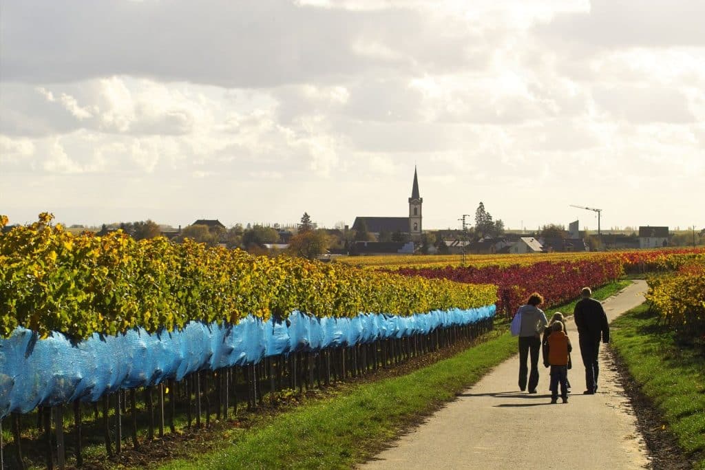 Tripps Now Reviews Affordable Autumn Wine Escapes 3