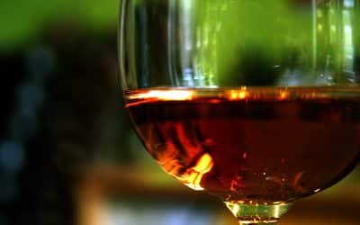 Tripps Now Reviews Affordable Autumn Wine Escapes
